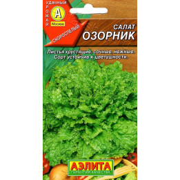 ОЗОРНИК