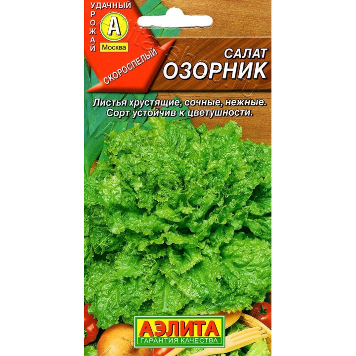 ОЗОРНИК