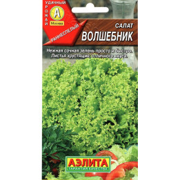 ВОЛШЕБНИК
