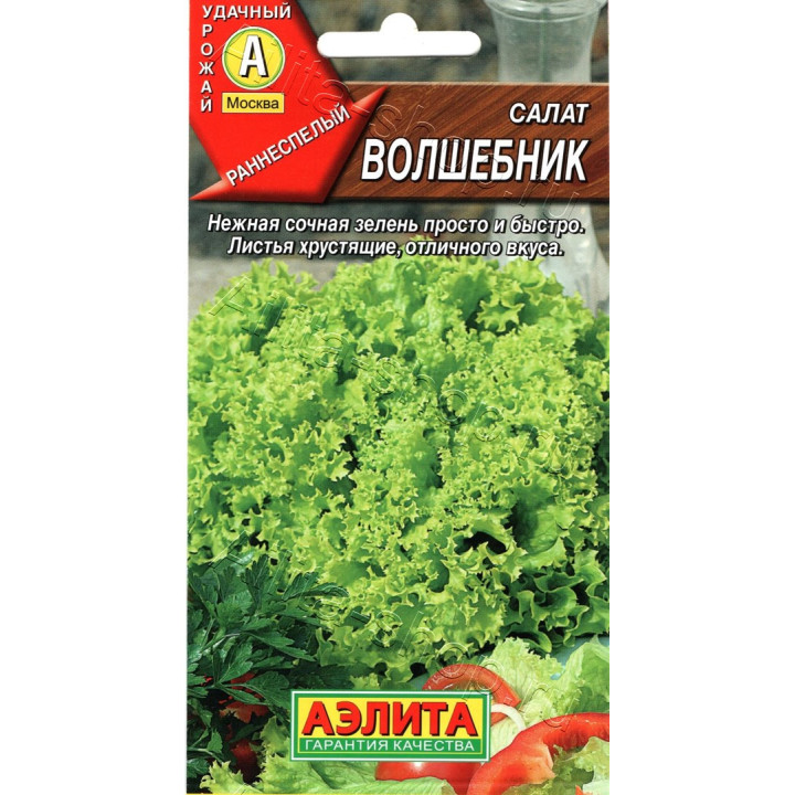ВОЛШЕБНИК
