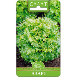 АЗАРТ