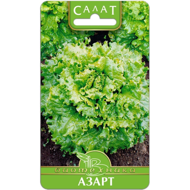 АЗАРТ