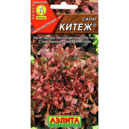 КИТЕЖ