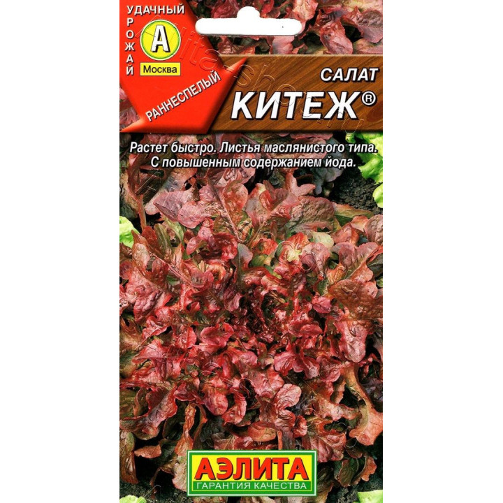 КИТЕЖ