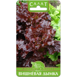 ВИШНЕВАЯ ДЫМКА