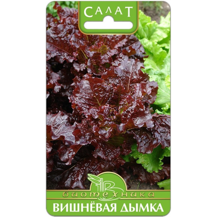 ВИШНЕВАЯ ДЫМКА