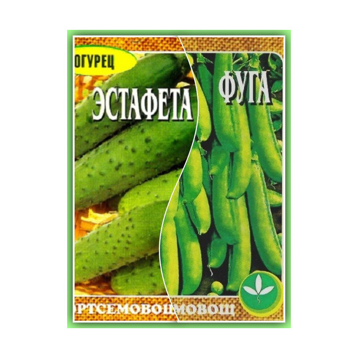 ЭСТАФЕТА