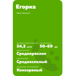 ЕГОРКА