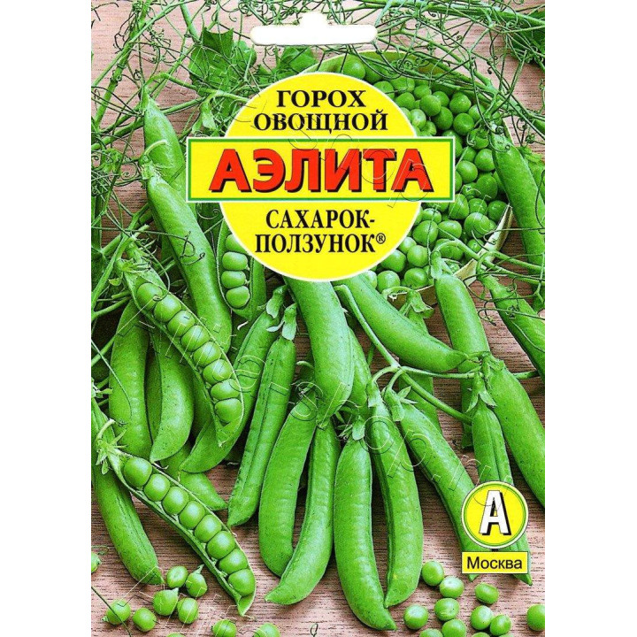 САХАРОК-ПОЛЗУНОК