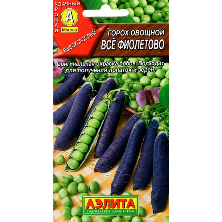 ВСЕ ФИОЛЕТОВО