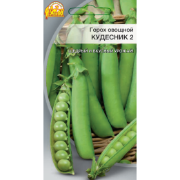КУДЕСНИК 2