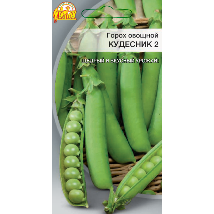 КУДЕСНИК 2