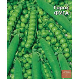 ФУГА