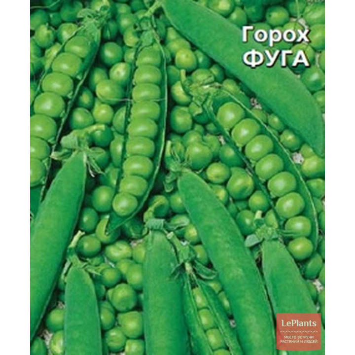ФУГА