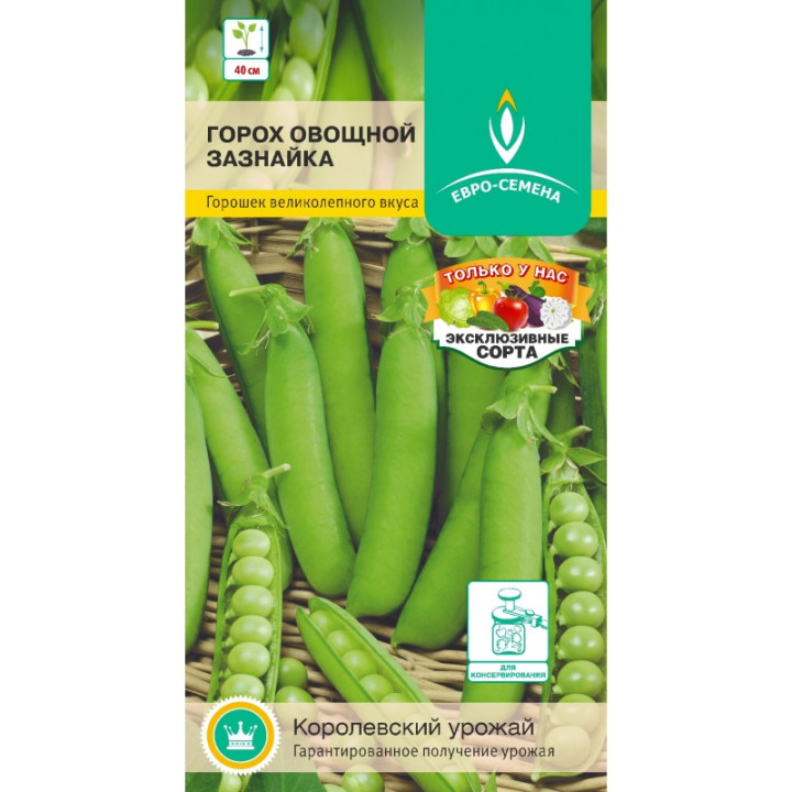 ЗАЗНАЙКА