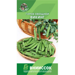 ВИКИНГ
