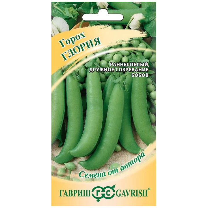 ГЛОРИЯ
