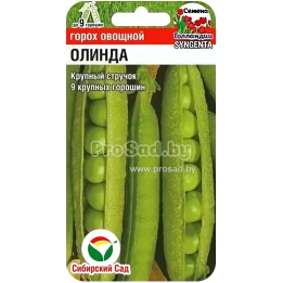 ОЛИНДА