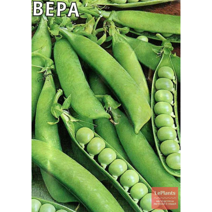 ВЕРА