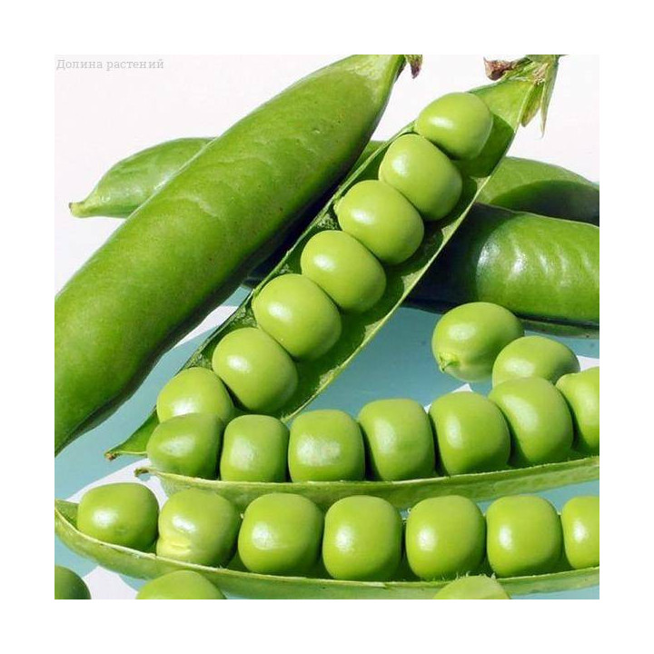 ЛИНКОЛЬН