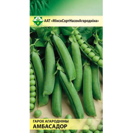 АМБАССАДОР