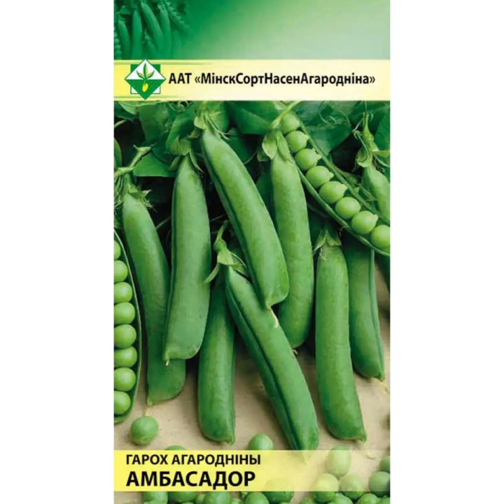 АМБАССАДОР