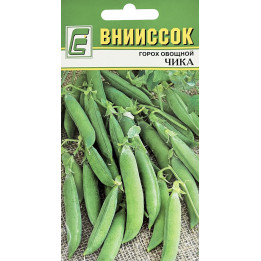 ЧИКА