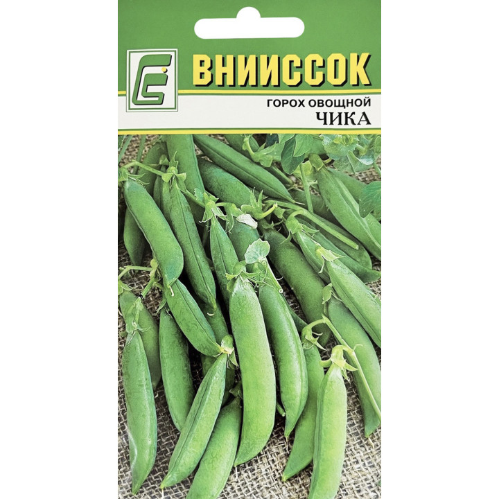 ЧИКА