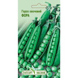 ФОРА