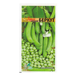 БЕРКУТ