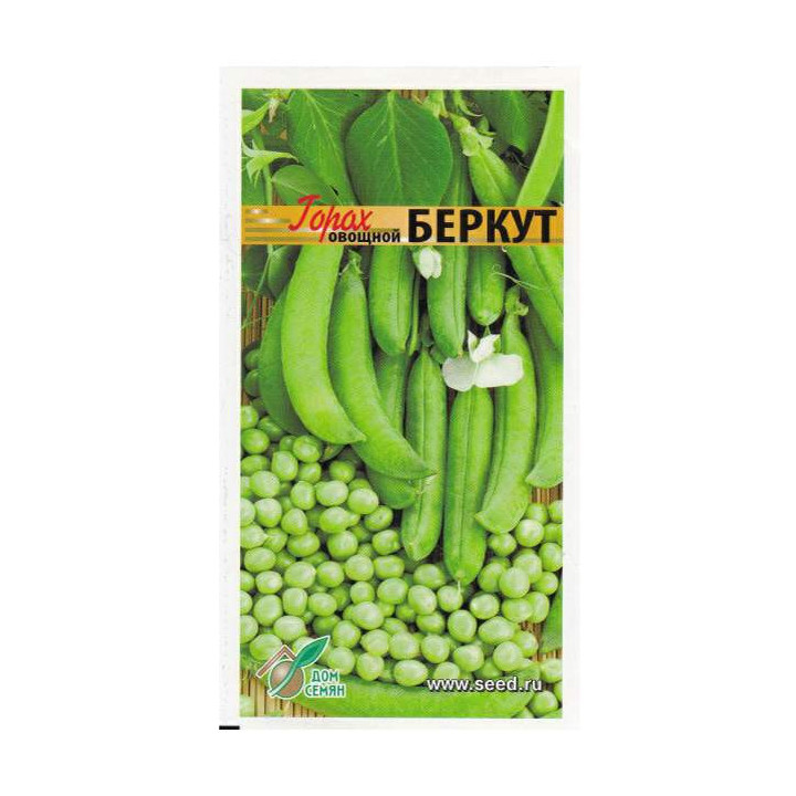 БЕРКУТ