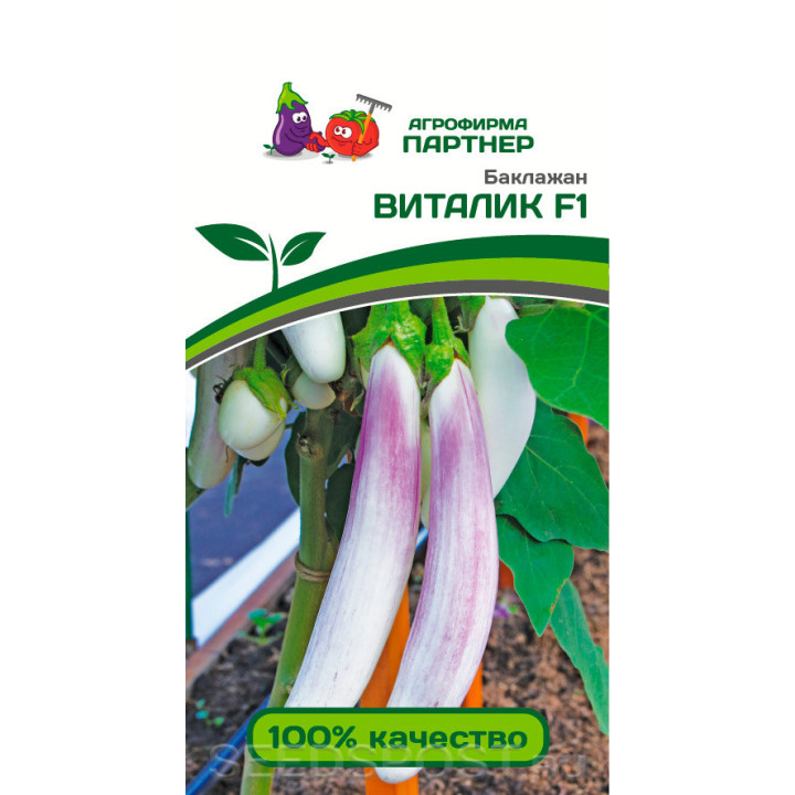ВИТАЛИК
