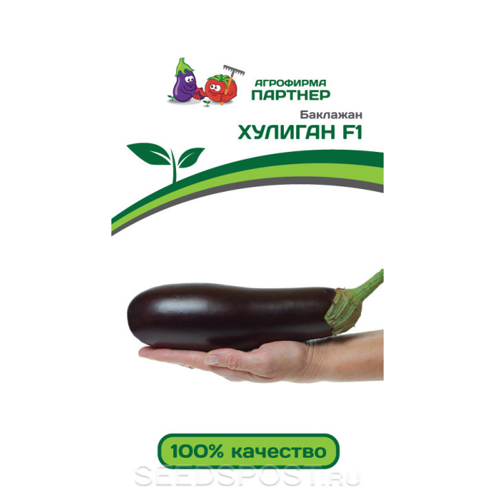 ХУЛИГАН