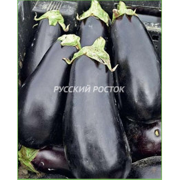 БАКАРА