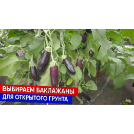 ВЛАС