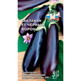 ЧЕРНЫЙ ВОРОН