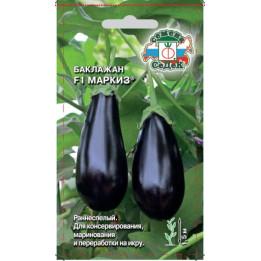 МАРКИЗ