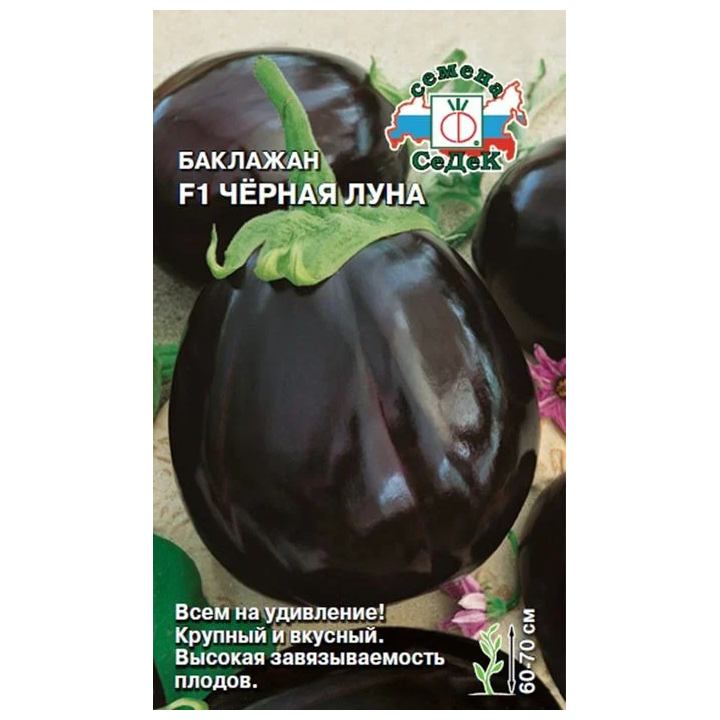 ЧЕРНАЯ ЛУНА