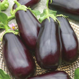 МАРИЯ