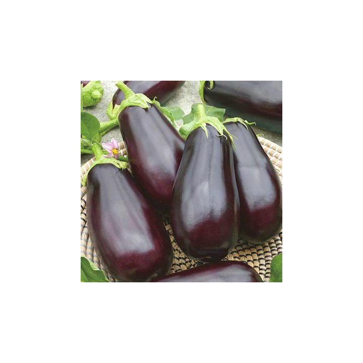 МАРИЯ
