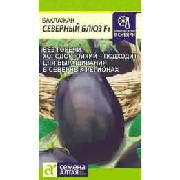СЕВЕРНЫЙ БЛЮЗ