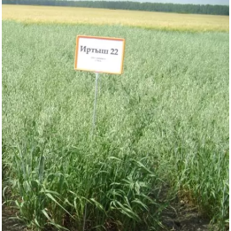 ИРТЫШ 22