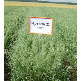 ИРТЫШ 21