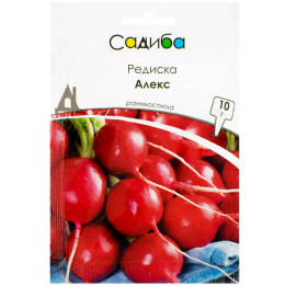 АЛЕКСЕЙ