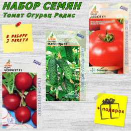 ДЕБЮТ