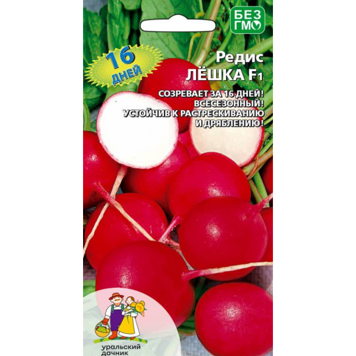 ЛЁШКА