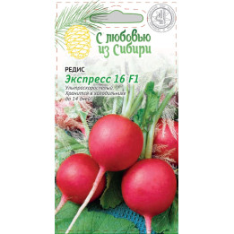 ЭКСПРЕСС 16