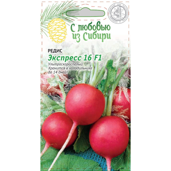 ЭКСПРЕСС 16