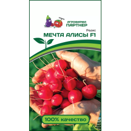 МЕЧТА АЛИСЫ