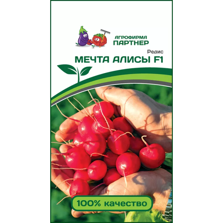 МЕЧТА АЛИСЫ